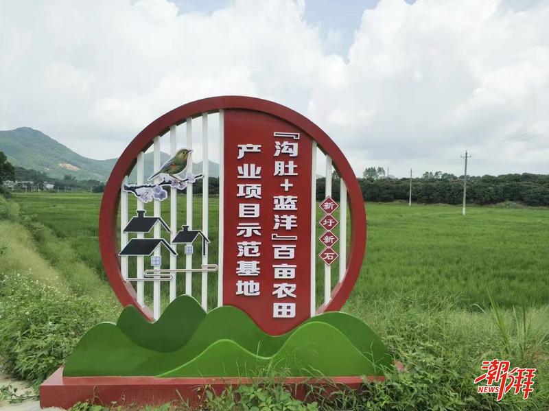 d1396235983d4528ad934cb4b4d67e56_24b79ba2-9691-4931-b9eb-06850becc34e_m_fmt=jpg.jpg